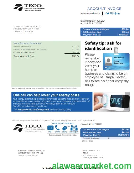 USA TECO utility bill Word and PDF template